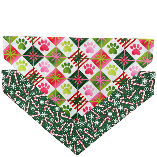 Pawliday Celebrations Bandana